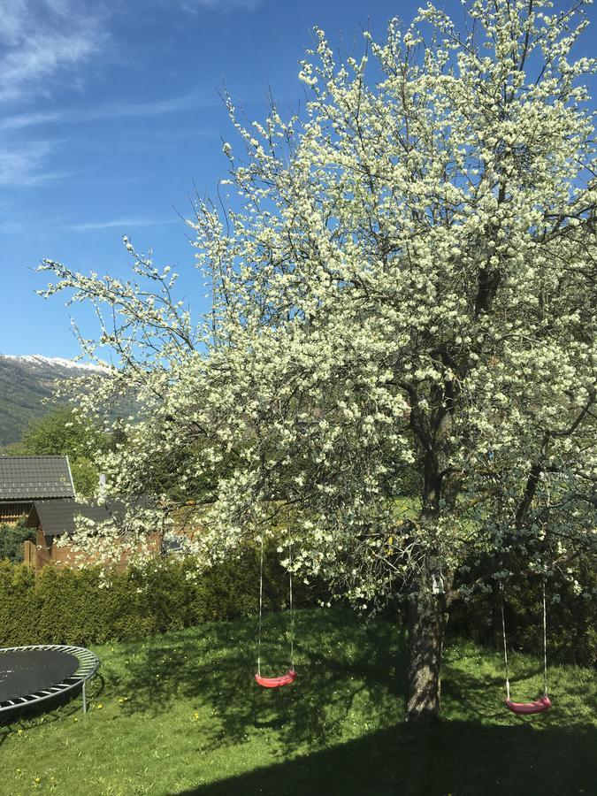 상트미카엘임룽가우 Haus Nohra B&B 외부 사진